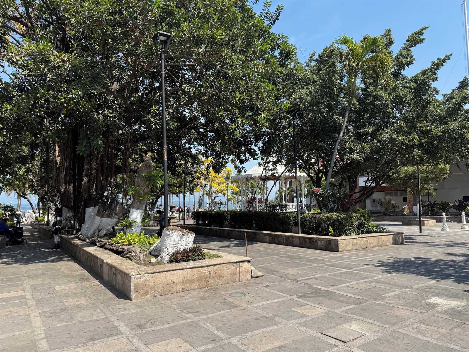 Hotel Casa Kavia: the Plaza de Armas in front of the hotel, with large trees and the bay in the distance